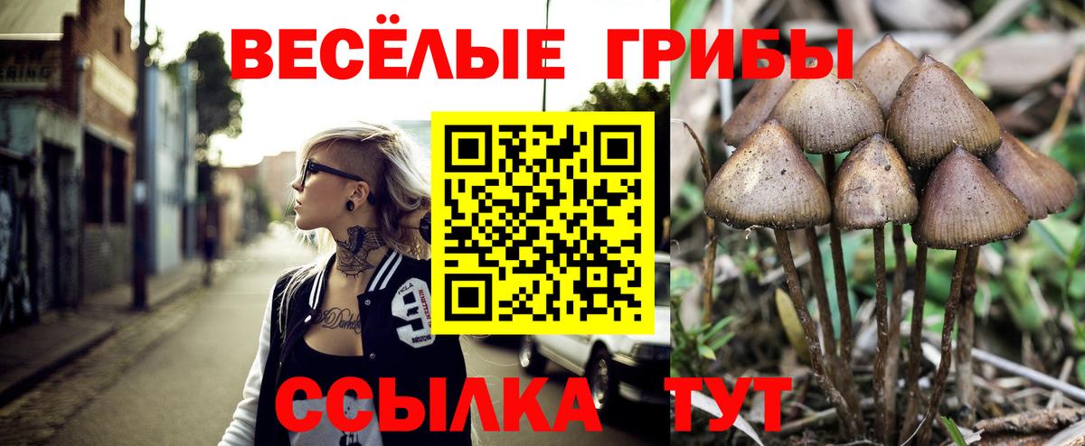 Вышний Волочёк  Галлюциногенные грибы мухоморы  Вход с VPN 