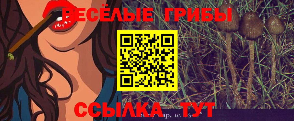 Псилоцибиновые грибы Cubensis Вышний Волочёк